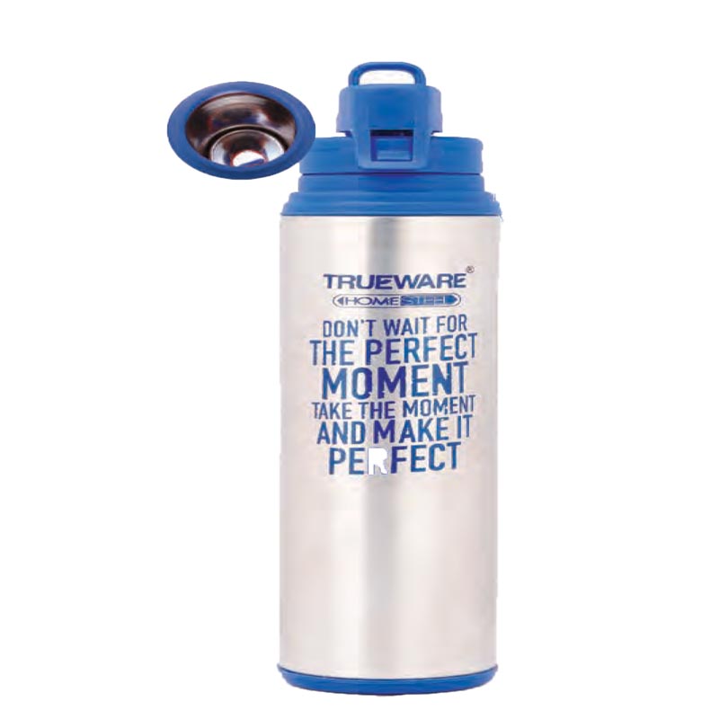 Aster Insulated Bottle In..