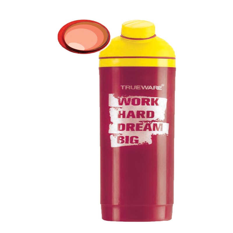 Aster Insulated Bottle In..