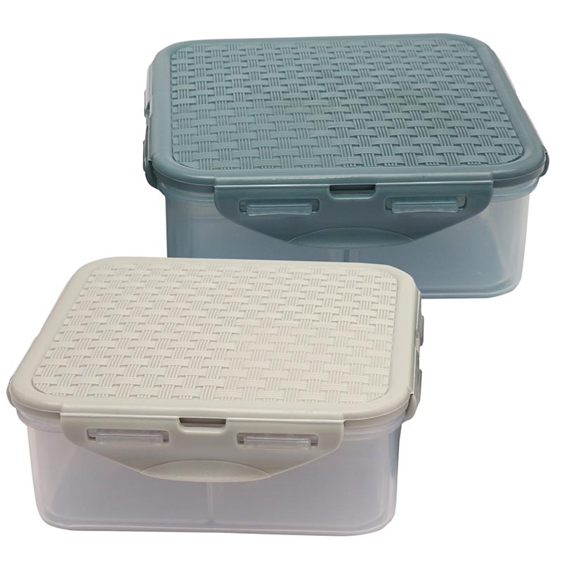 Jaypee Plus Now Box Divider Plastic Container,800 ml /15Cm, 2-Pieces ...